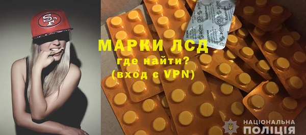 индика Орск