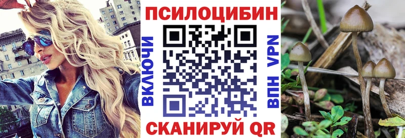 Псилоцибиновые грибы Psilocybine cubensis  нарко площадка наркотические препараты  Лыткарино  закладка 