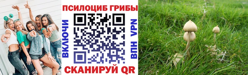 Галлюциногенные грибы мицелий Лыткарино