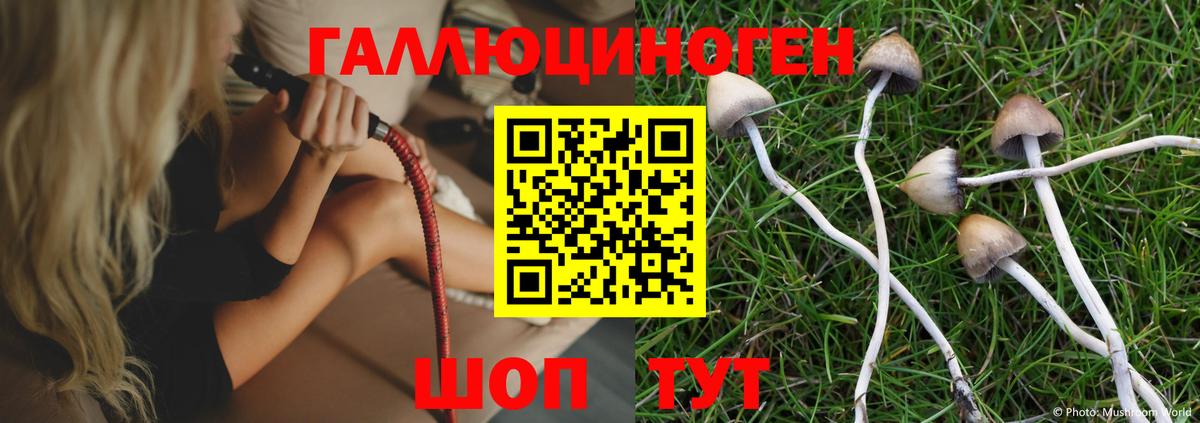 Галлюциногенные грибы Magic Shrooms  Галлюциногенные грибы мухоморы  Лыткарино 